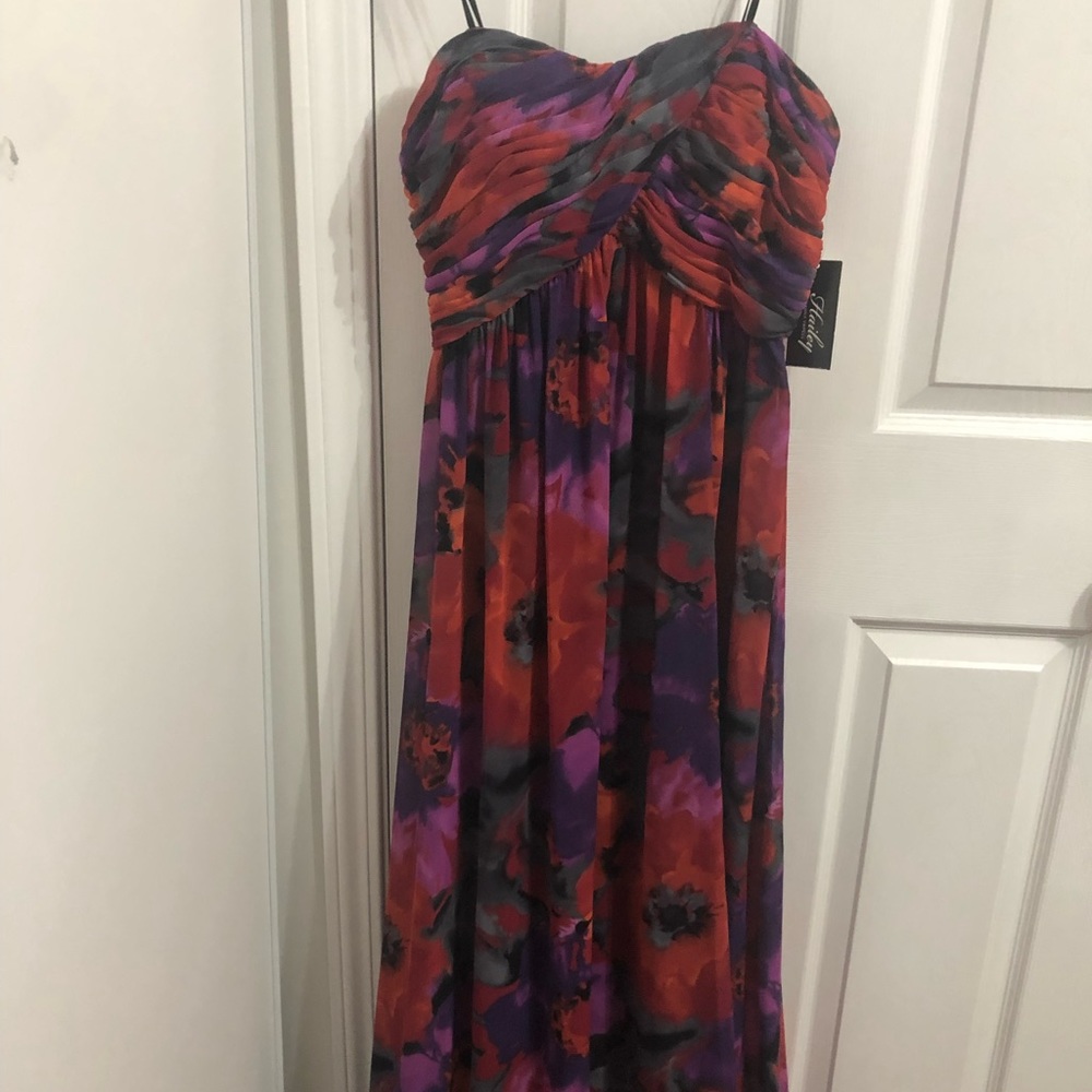 Beautiful Adrianna appellate evening gown
